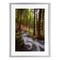 Stupell Industries Mist In The Adirondacks Framed Print Under Glass, design by James Rodewald